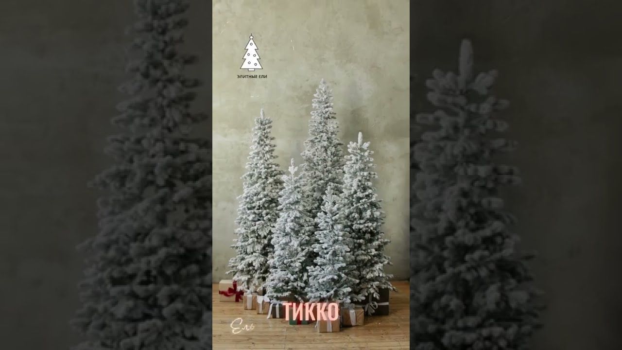 ТИККО, ель заснеженная (1,85 м)1