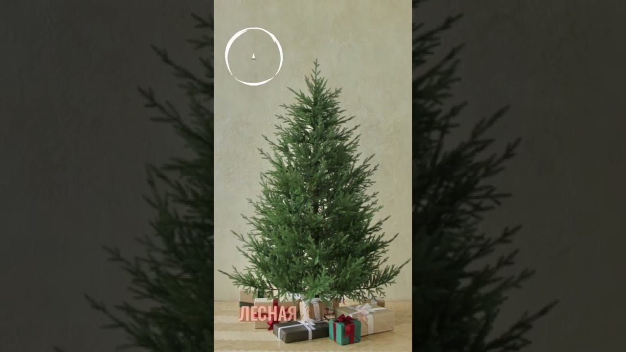 ЛЕСНАЯ СИМФОНИЯ, ель литая (2,1 м)1