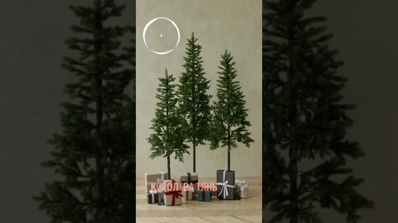 КОРОЛЕВА ТЯНЬ ШАНЯ, ель литая (1,8 м)1