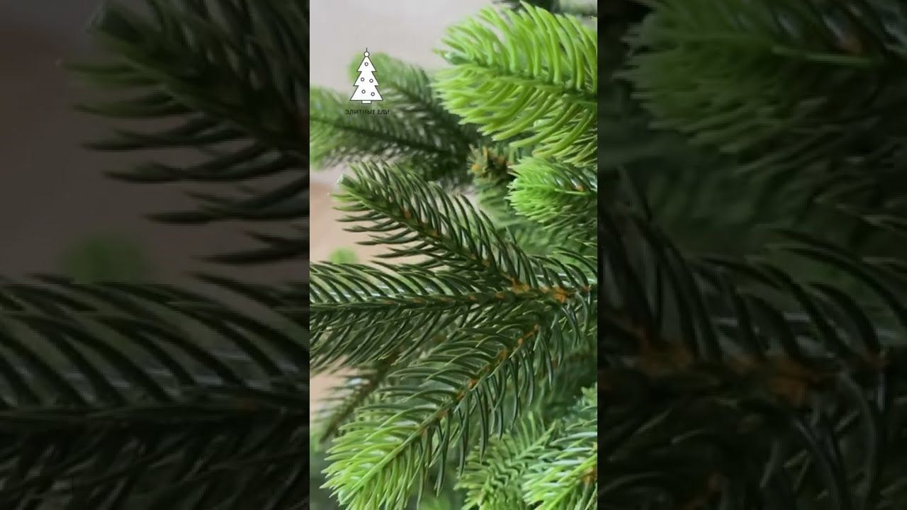 ИЗУМРУДНАЯ, ель премиум (1,2 м)1