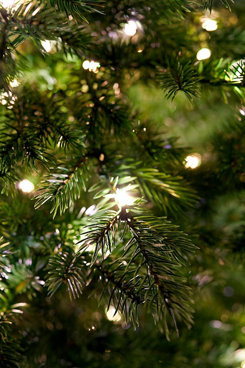 ФИДЖИ с лампочками с деревянной кадушкой (2,3 м)2