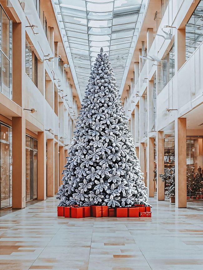 АМУРСКАЯ, ель высотная заснеженная (3,0 м)2