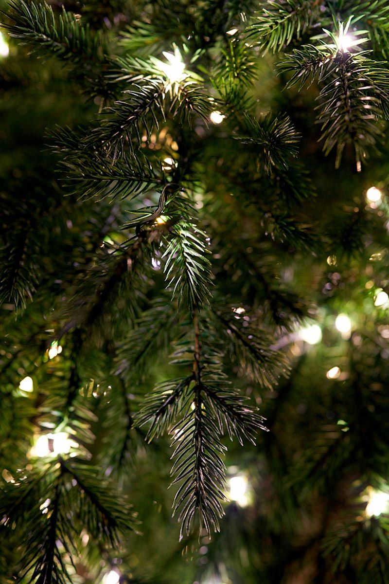 ФИДЖИ с лампочками с деревянной кадушкой (2,3 м)2