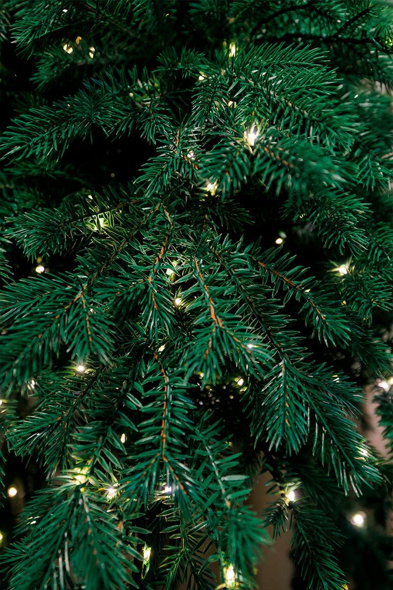 ФИДЖИ с лампочками с деревянной кадушкой (2,3 м)2