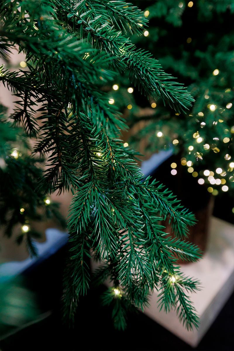 ФИДЖИ с лампочками с деревянной кадушкой (2,3 м)2