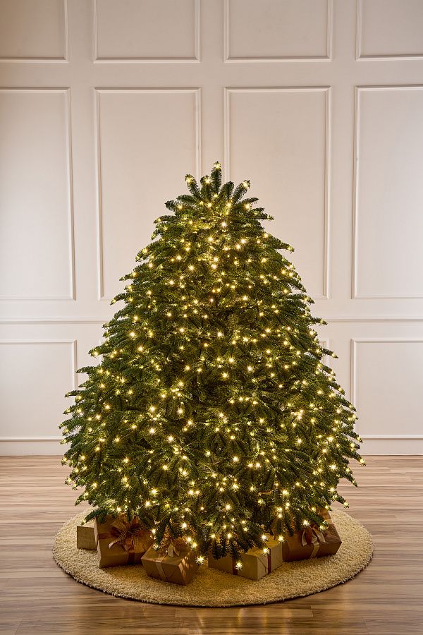 ДАТСКАЯ с лампочками, ель литая искусственная (1,75 м)2