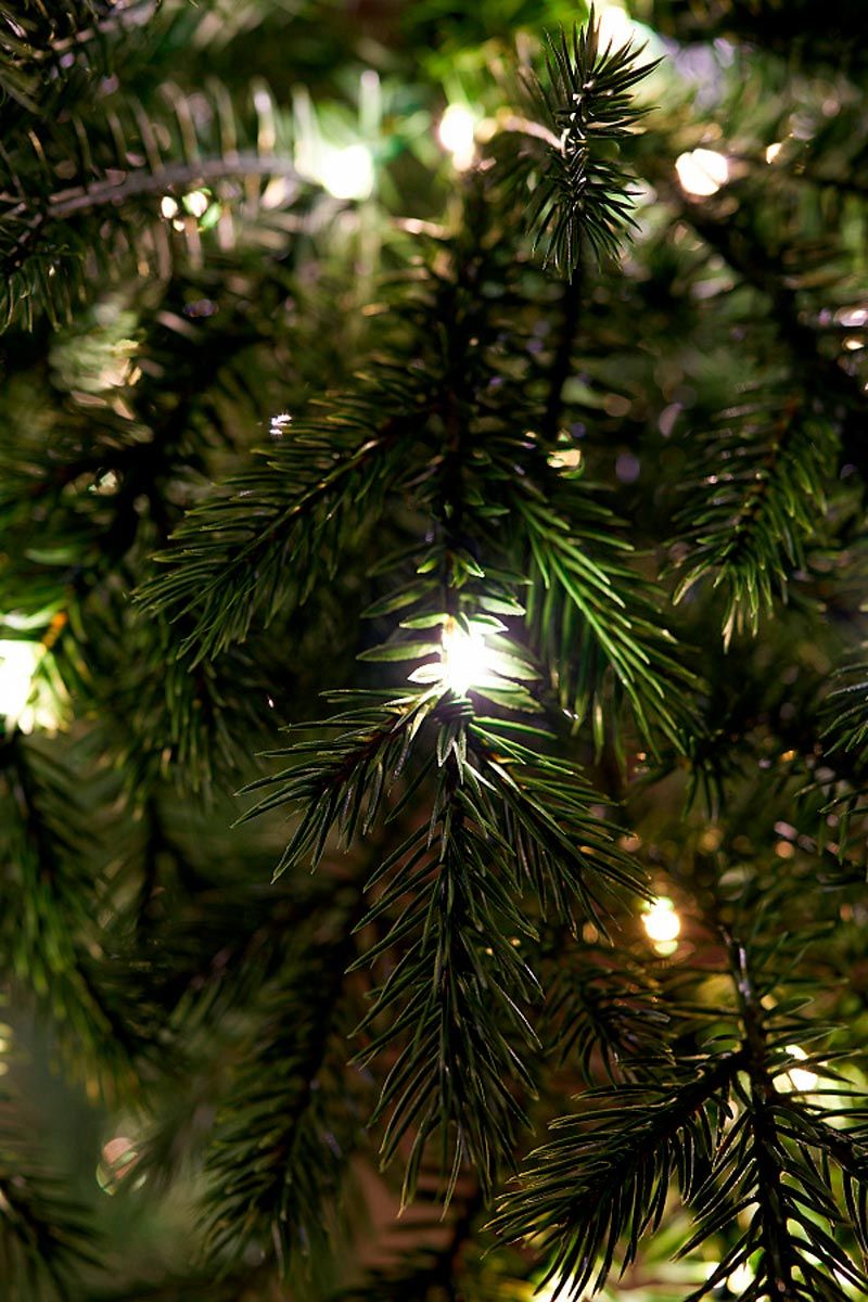 ФИДЖИ с лампочками с деревянной кадушкой (2,3 м)2