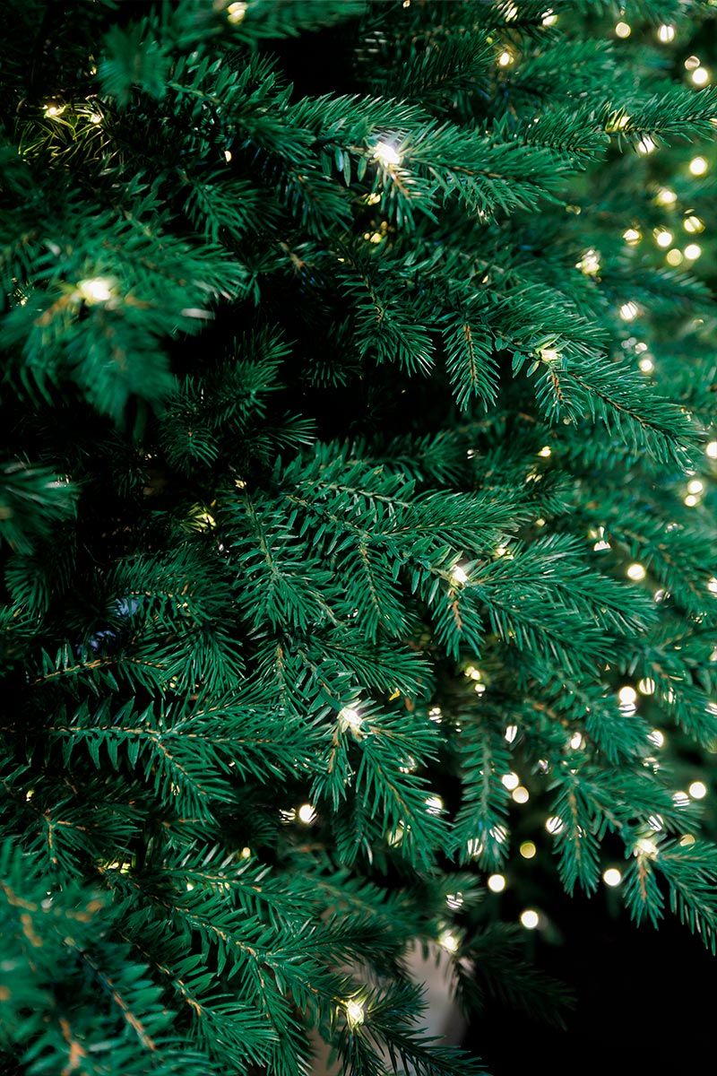 МУРМАНСКАЯ, ель литая с лампочками (2,25 м)2