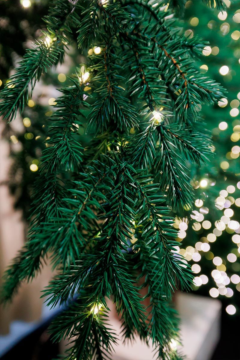 ФИДЖИ с лампочками с деревянной кадушкой (2,3 м)2