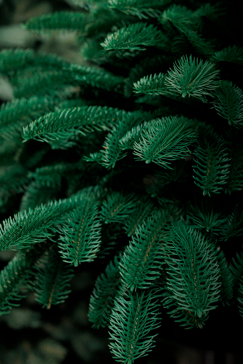 ДАТСКАЯ, елка литая искусственная (1,75 м)2