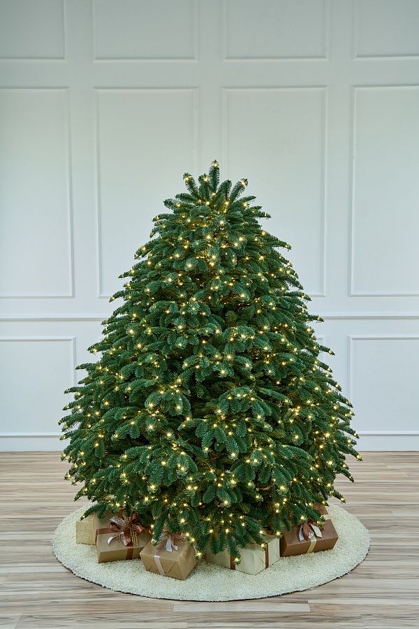 ДАТСКАЯ с лампочками, ель литая искусственная (1,75 м)2
