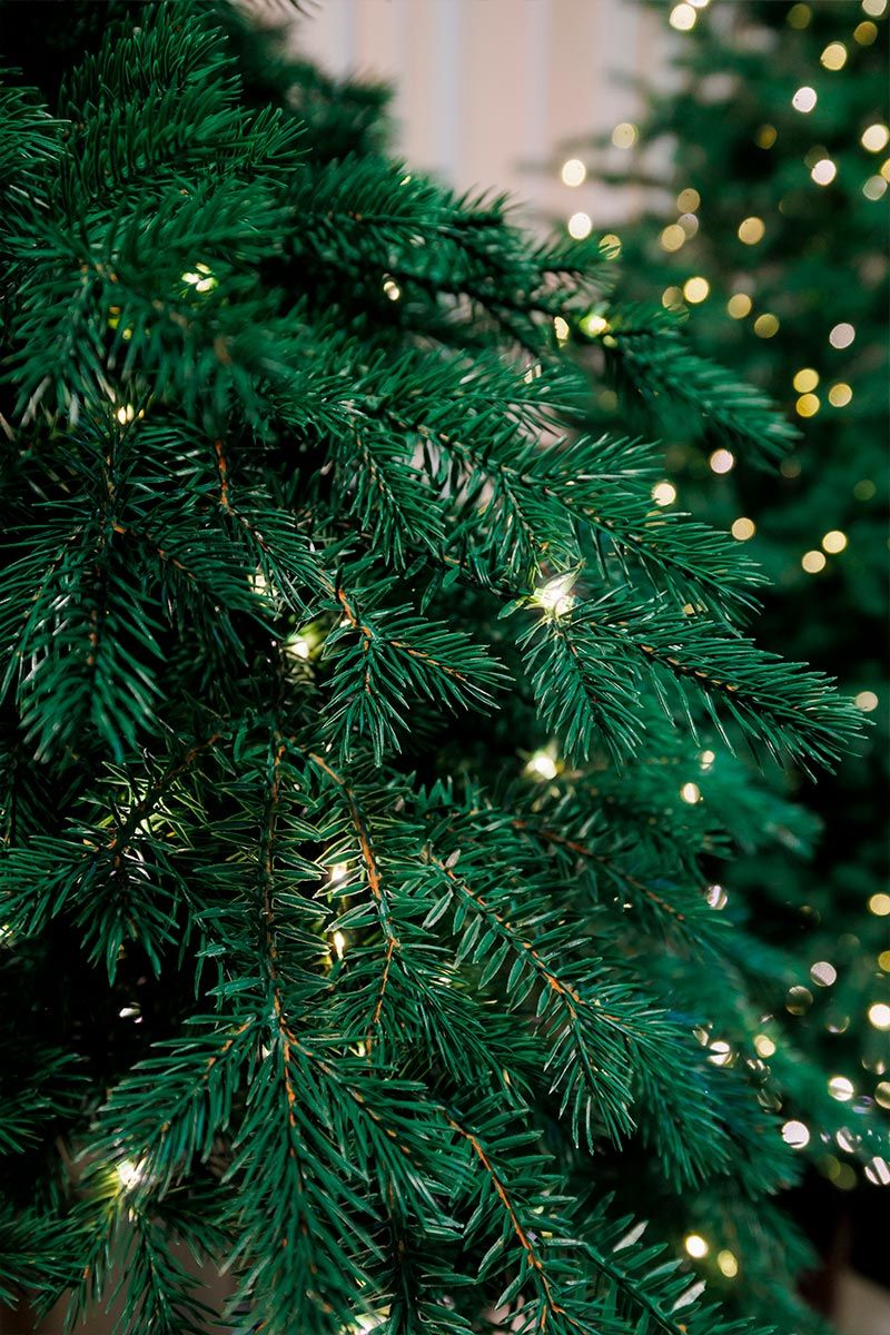 ФИДЖИ с лампочками с деревянной кадушкой (2,3 м)2