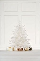 АЛЕКСАНДРИЙСКАЯ, ель настольная белая (0,9 м)