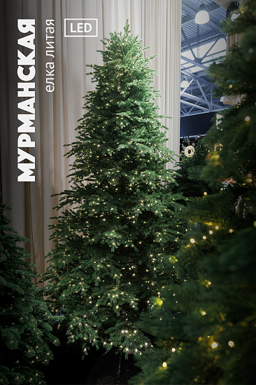 МУРМАНСКАЯ, ель литая с лампочками (1,95 м)