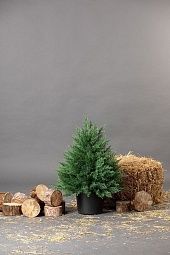Туя искусственная Гармония (0,8 м)