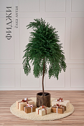 ФИДЖИ, елка литая (2,3 м)