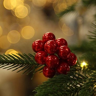 Пучок шариков 2 см 10 шт - 3866 карамельный красный1