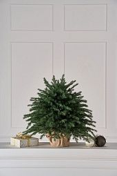 ФЕЕРИЯ, ель настольная литая (0,75 м)