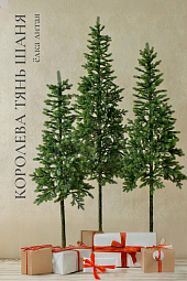 КОРОЛЕВА ТЯНЬ ШАНЯ, ель литая (1,8 м)