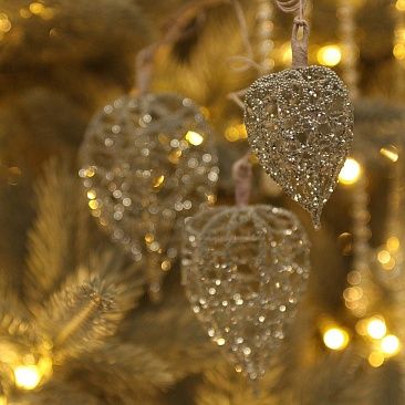 Физалис серебрянные бусины 58 см1