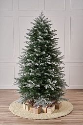 МУРМАНСКАЯ, ель заснеженная (2,55 м)