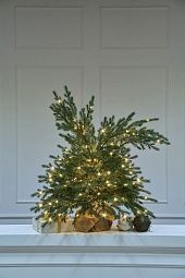 ШУША, ель настольная с лампочками (0,9 м)