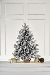 ИМПЕРАТРИЦА, ель настольная заснеженная (0,7 м)