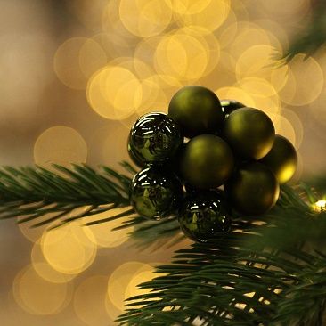 Пучок зеленый лесной 2 см 10 шт 99351