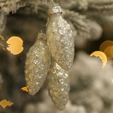 Связка шишек 3 шт - белые 38701