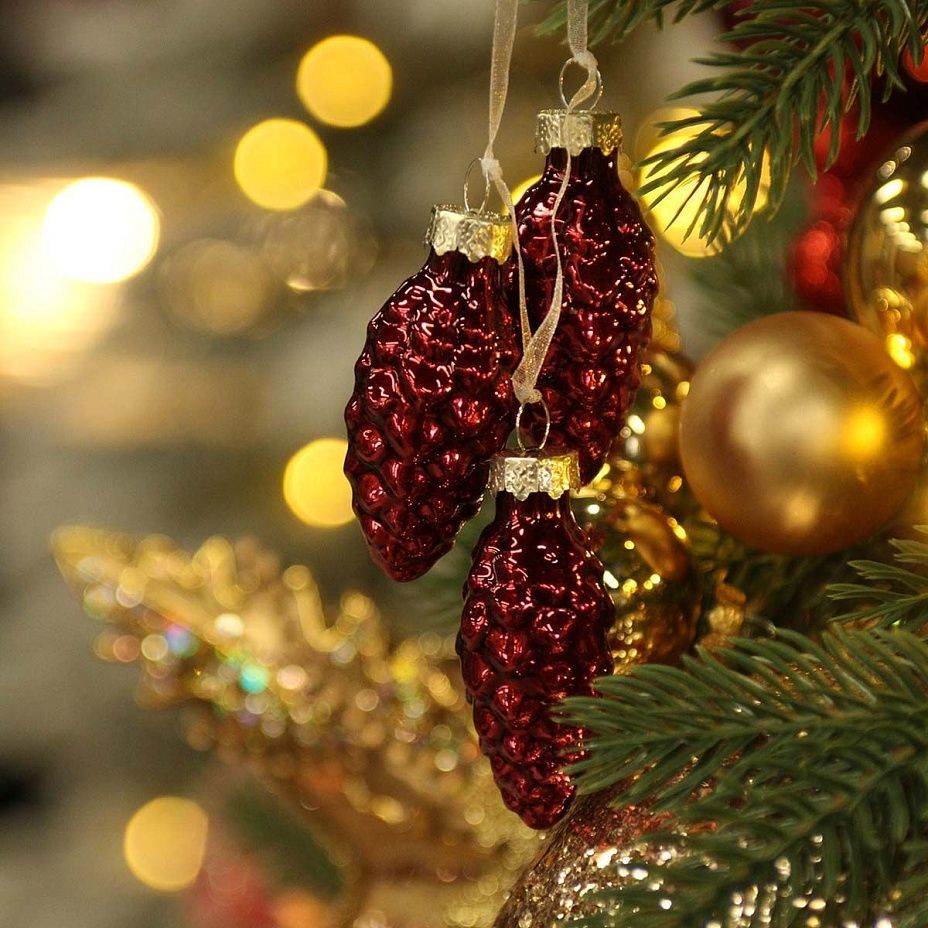 Связка шишек 3 шт - темный бордо 38722