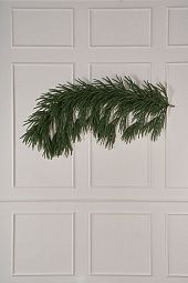 ЮЖНАЯ, ветка хвои