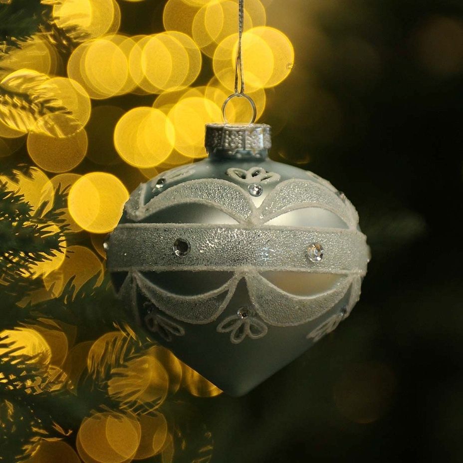 Луковка Изморозь 8 см 54262