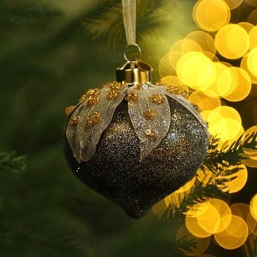 Луковка Эльфийская 98921