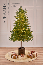 АРКАДИЯ с лампочками с деревянной кадушкой (2,25 м)