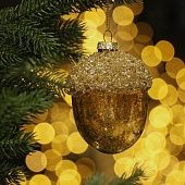 Желудь с кристалликами, 035