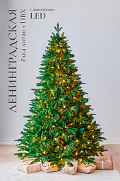 ЛЕНИНГРАДСКАЯ, ель с лампочками премиум