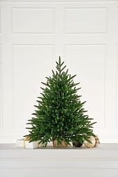 АЛЕКСАНДРИЙСКАЯ, ель настольная