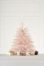 РОЗОВАЯ, ель настольная