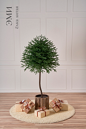 ЭМИ, ель литая на штамбе (1,7 м)