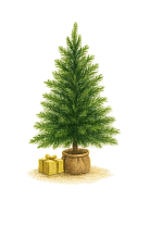 Настольные ели