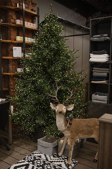 ЛЕСНАЯ СИМФОНИЯ, ель литая (2,1 м)1