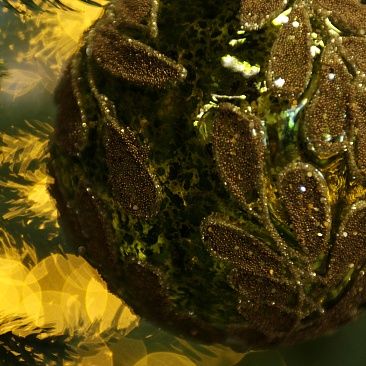 Шар Лесная сказка 10 см 54791