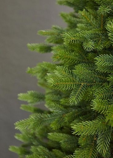 ВОРОНЦОВСКАЯ, ель литая (2,1 м)1