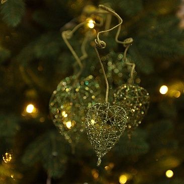 Физалис зеленый проволочный1