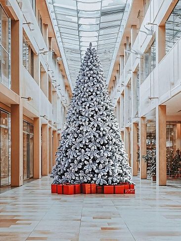 АМУРСКАЯ, ель высотная заснеженная (3,0 м)1