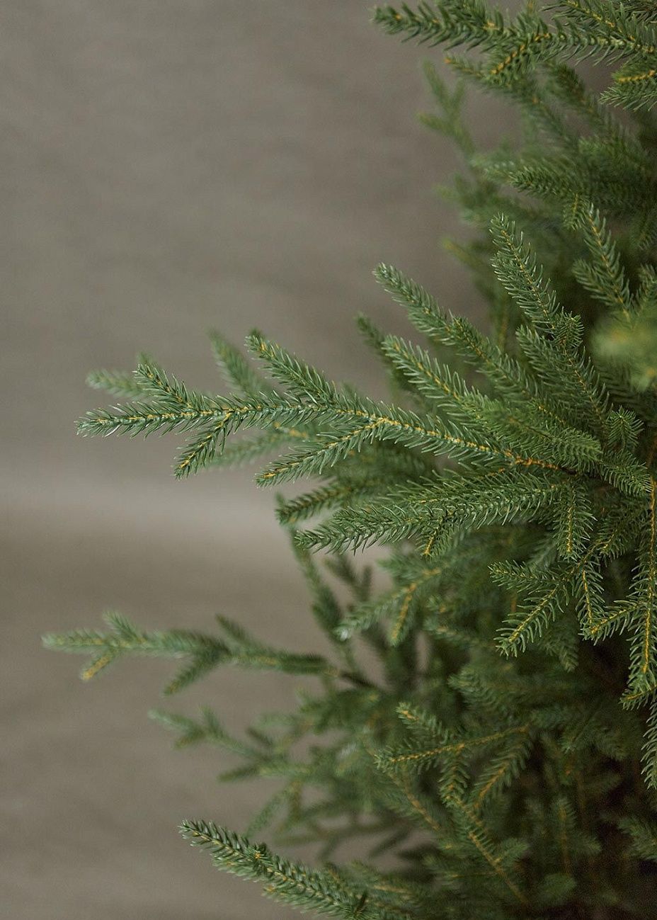 ЛЕСНАЯ СИМФОНИЯ, ель литая (2,1 м)2