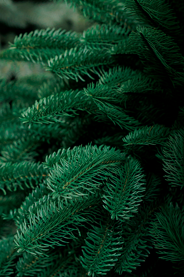 ДАТСКАЯ, елка литая искусственная (1,75 м)1