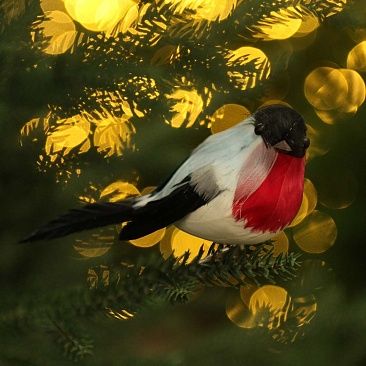 Снегирь на клипсе1