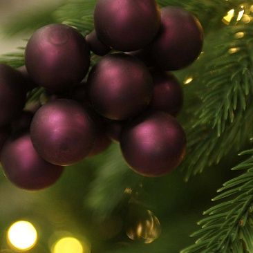 Пучок сливовый матовый 2,5 см 12 шт, стекло 55581