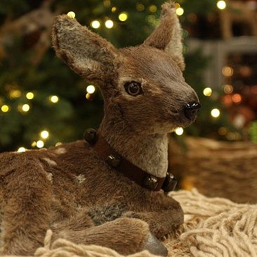 Олененок лежит 40 см1